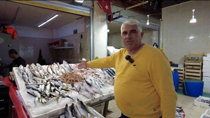 Balık Bolluğu Fiyatlara Da Yansıdı