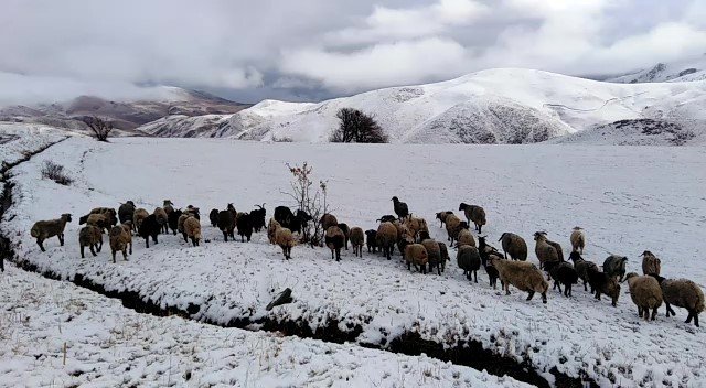 Yüksekova’da Kar 5 Santimi Buldu