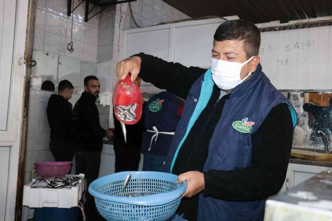 Kahramanmaraş’ta Tezgahlarda Balık Bolluğu