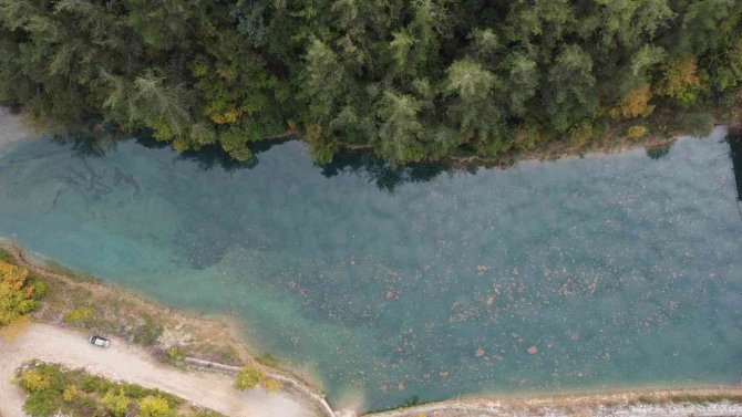 Terörden Temizlenen Amanos Dağlarında Kartpostallık Manzaralar