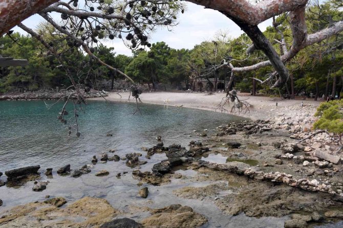 Phaselis’e Ziyaretçi Akını