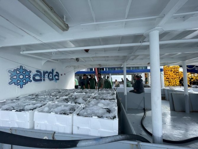 Karadeniz’de Hamsi Bereketi : Kilosu 15 Lira