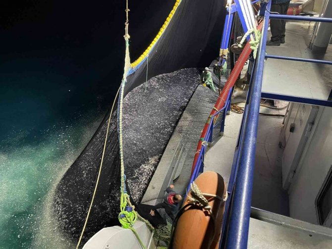 Karadeniz’de Hamsi Bereketi : Kilosu 15 Lira