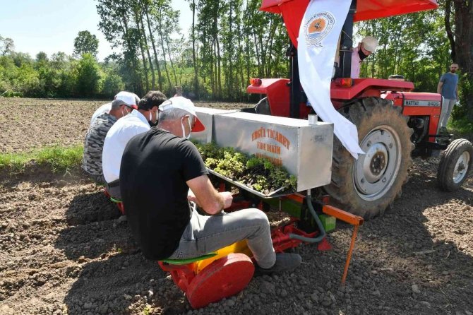 Samsun’da Çiftçilere 74 Ton Yem Bitkisi