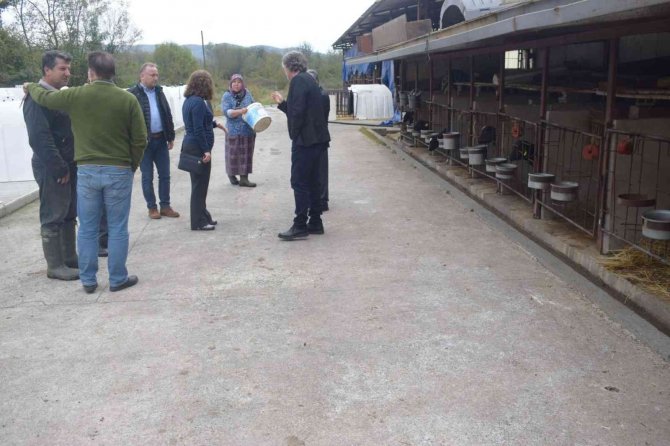 Çaycuma Manda Yoğurdunun Yaygınlaşması İçin Çalışmalar Başladı