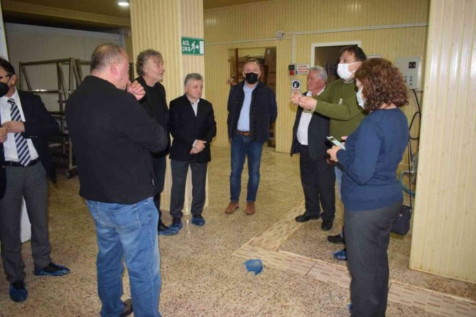 Çaycuma Manda Yoğurdunun Yaygınlaşması İçin Çalışmalar Başladı