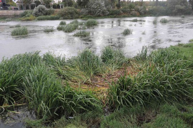 Tunca Nehri’nde Kuraklık Ve Kirlilik