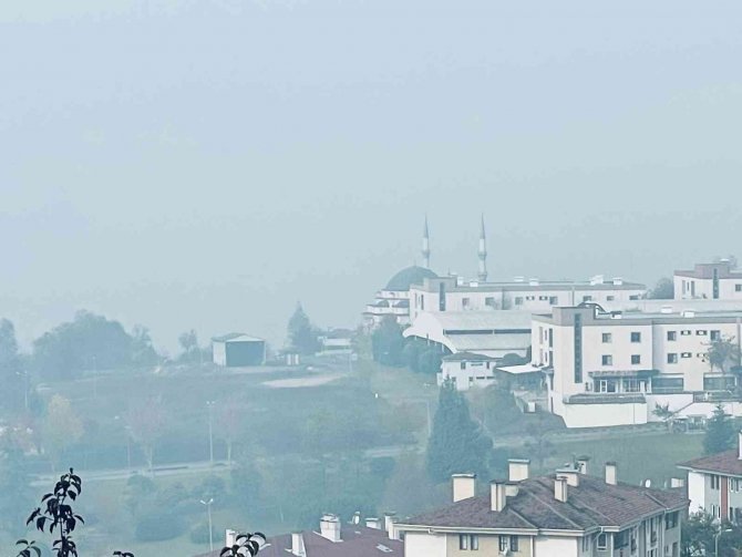 Düzce’de Sis Etkili Oluyor