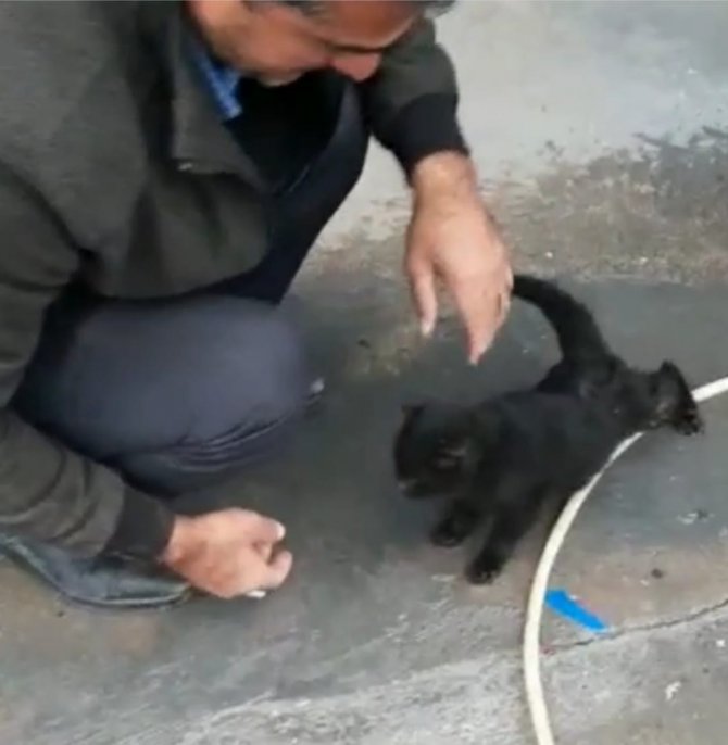 Aracın Motoruna Sıkışan Yavru Kedi, 2 Saat Süren Çalışma İle Çıkartıldı