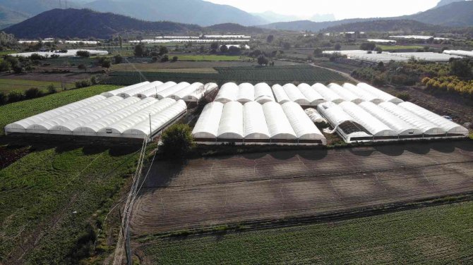 Bu İlçedeki Tarla Ve Seralar Türkiye’yi Besliyor