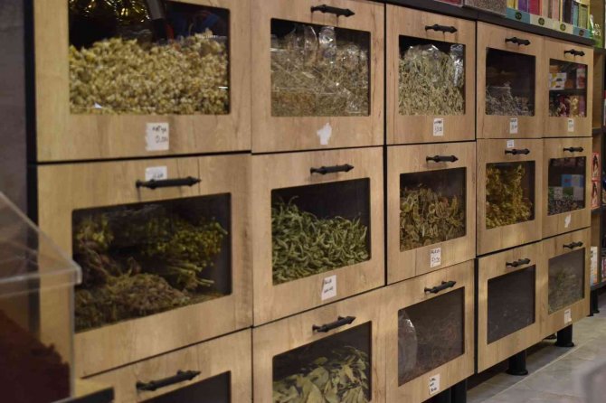 Kış Geldi, Şifa Arayan Aktarlara Koştu