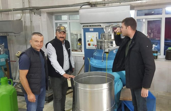 Yağışın Az Olması Zeytin Rekoltesini Etkileyebilir