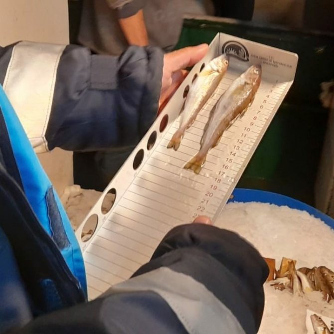 İ̇ğneada’da Balıkçılar Denetlendi