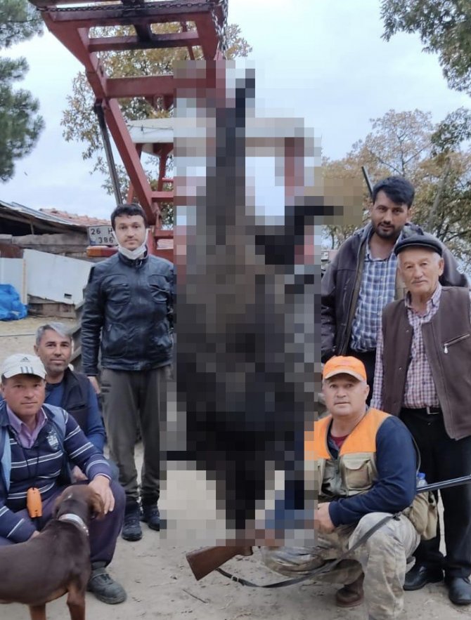 400 Kiloluk Domuzu Vurunca ’Bu Kesin Haber Olur’ Dediler