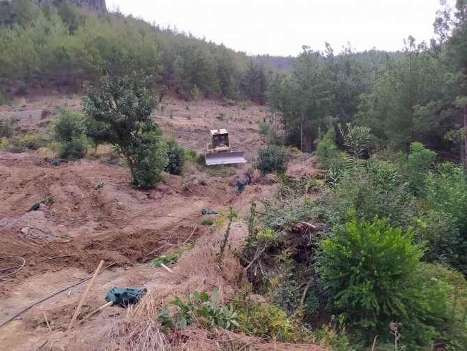 Bozyazı’da Orman Arazisi İşgaline Müsaade Edilmedi