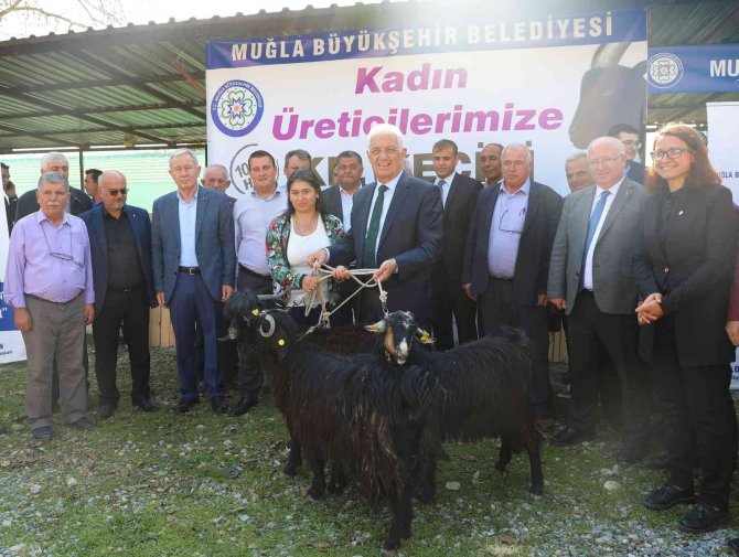 Büyükşehir’den 126 Kadın Üreticiye Kıl Keçisi Desteği