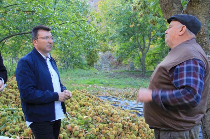 Kestanede Sezon Finalini Kaymakam Yaptı