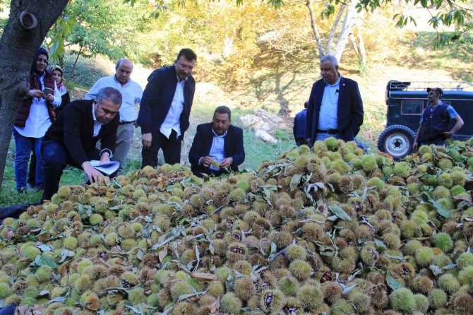 Kestanede Sezon Finalini Kaymakam Yaptı