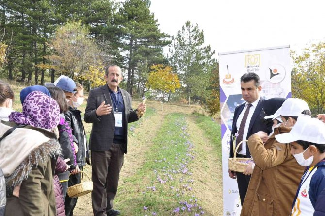 "Dünyanın En Pahalı Baharatı" Geleceğe Taşınıyor