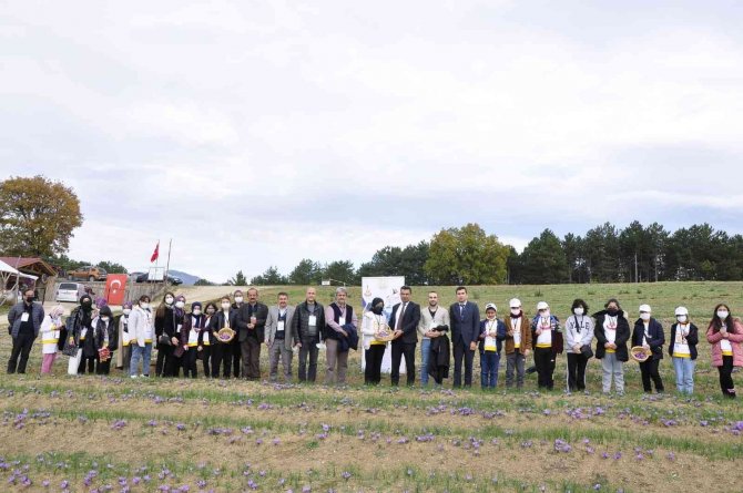 "Dünyanın En Pahalı Baharatı" Geleceğe Taşınıyor