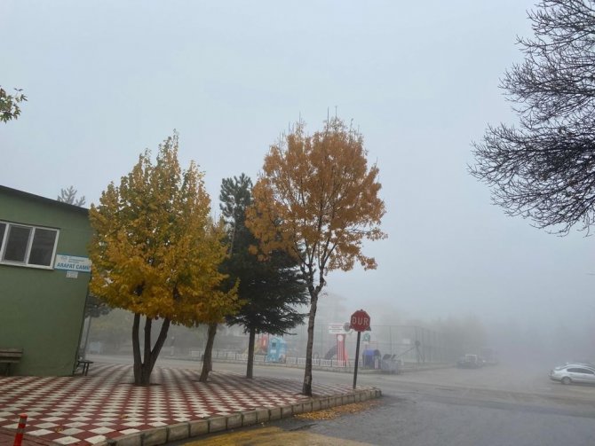 Sis Karahisar Kalesi’ni Adeta Görünmez Hale Getirdi