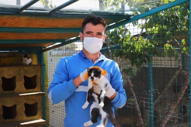 Aksaray Belediyesi Minik Dostlarımızın Yanında