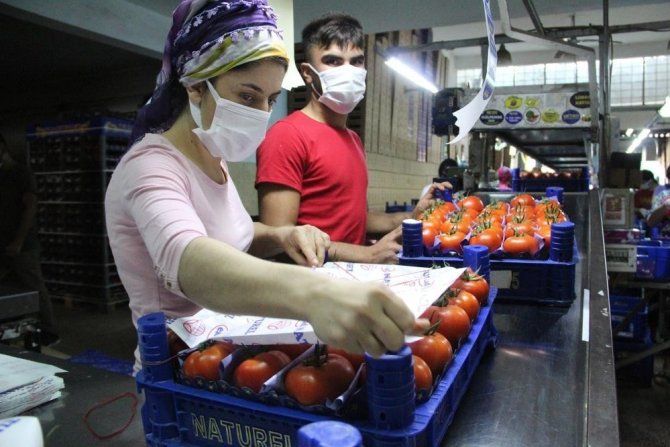 Domatesin Fiyatı Geçen Yıla Göre Yüzde 63.98 Arttı