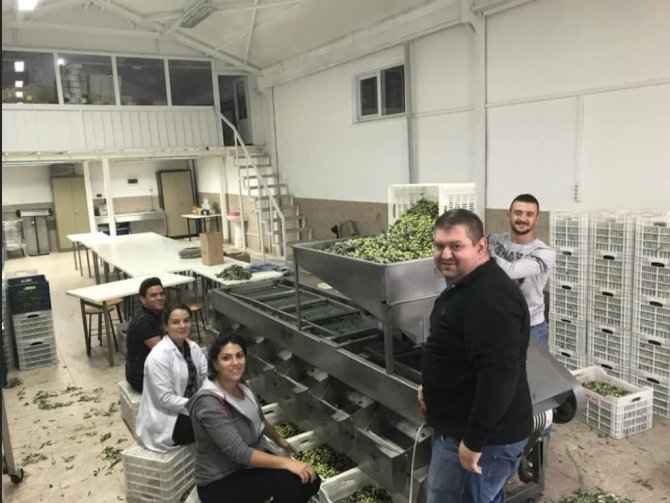 Balıkesir Üniversitesi’nde 2021-2022 Sezonu Zeytinyağı Ve Zeytin Ürünlerinin Üretimine Başlandı