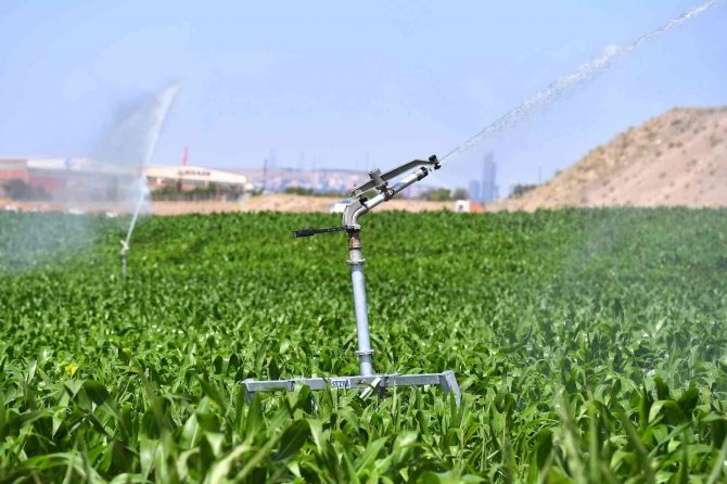 Kırsal Kalkınma Hamlesinde Yeni Dönem: Bakap Projesi İlk Meyvelerini Veriyor