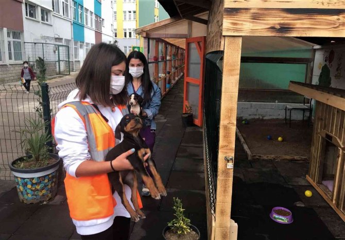 Altınordu’da ‘Her Okula Bir Can Dostu’ Projesi Hayata Geçirildi