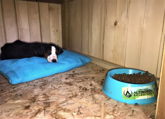 Altınordu’da ‘Her Okula Bir Can Dostu’ Projesi Hayata Geçirildi