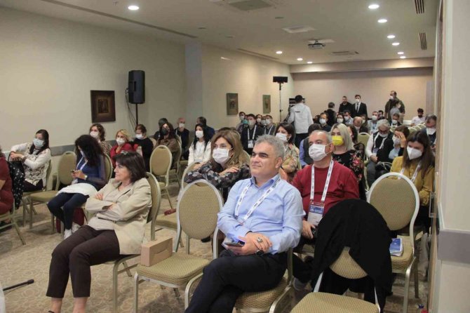 Modern Ve Konforlu Yaşamın Alerji Yaptığı Ortaya Çıktı