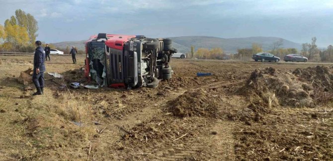 Tır Şarampole Devrildi, 7 Hayvan Telef Oldu