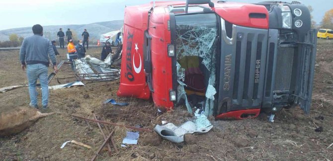 Tır Şarampole Devrildi, 7 Hayvan Telef Oldu