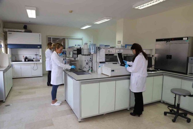 Di̇ski̇ Laboratuvarları Günlük 125 Numunenin Analizini Yapıyor