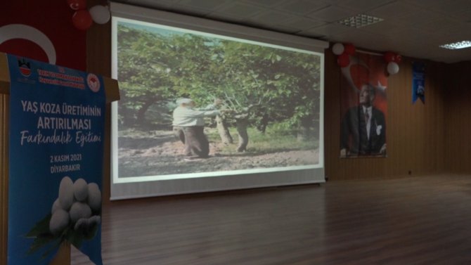 Kulp’ta Üreticilere, Yaş Koza Üretiminin Artırılması Eğitimi