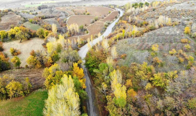 Sonbahardan Kışa Geçişte Renk Cümbüşü Oluşturan Ağaçlar Farklı Güzelliğe Büründü