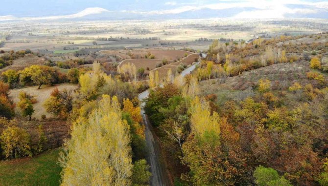 Sonbahardan Kışa Geçişte Renk Cümbüşü Oluşturan Ağaçlar Farklı Güzelliğe Büründü
