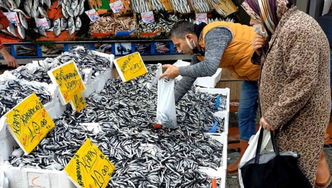 Hamsinin Kilosu 10 Tl’ye Düştü, Vatandaşlar Kilolarca Aldı