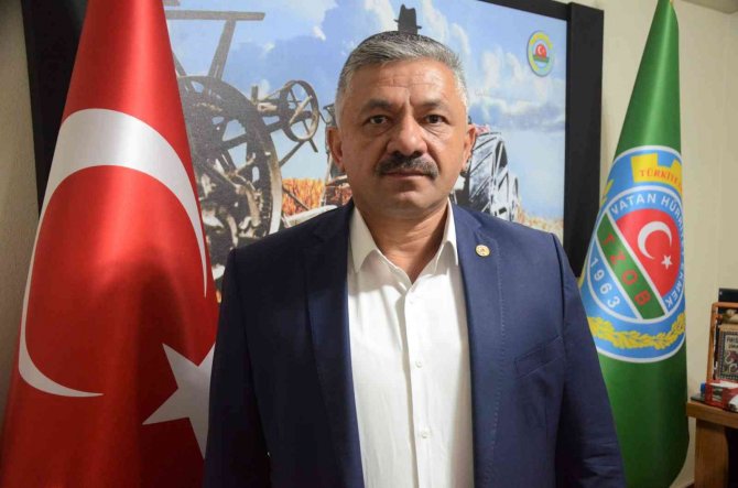 Ordu Kivisinde Erken Hasat Uyarısı