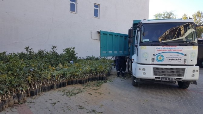 Büyükşehirden Kırsala 100 Bin Adet Fidan Desteği
