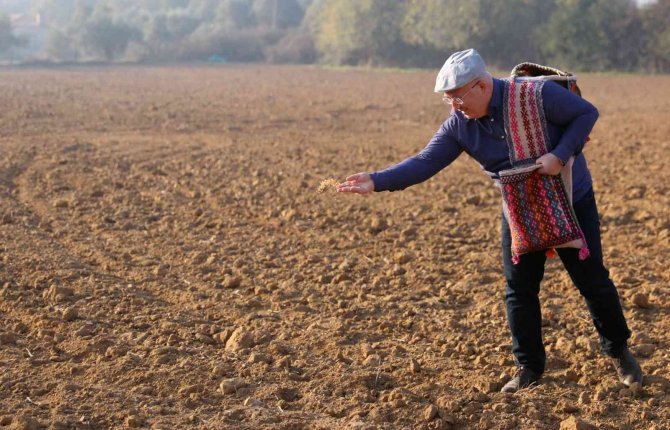Menteşe’de 1 Ton Karakılçık Buğdayı Toprakla Buluştu