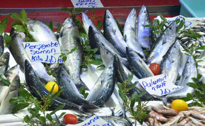 Ordu’da Palamut 40 Lira