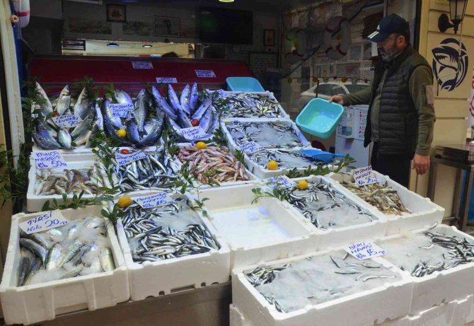 Ordu’da Palamut 40 Lira