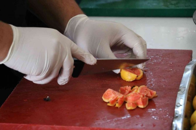 Pandemi Sürecinde Doğal Sirkenin Önemi Daha Da Arttı