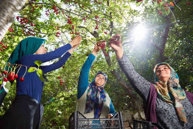 Halka Arzlar Artıyor, Bir Şirket Daha Borsada İşlem Görecek