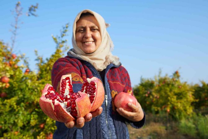 Halka Arzlar Artıyor, Bir Şirket Daha Borsada İşlem Görecek