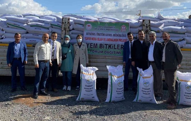 Siirt’te Çiftçilere 23 Ton 600 Kilogram Fiğ Tohumu Dağıtıldı