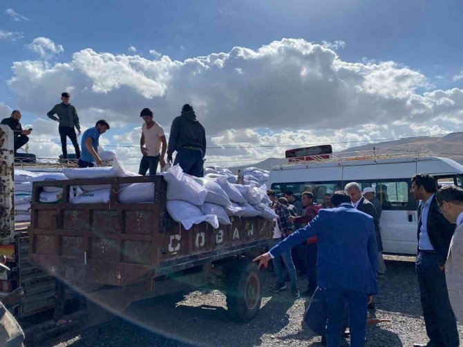 Siirt’te Çiftçilere 23 Ton 600 Kilogram Fiğ Tohumu Dağıtıldı
