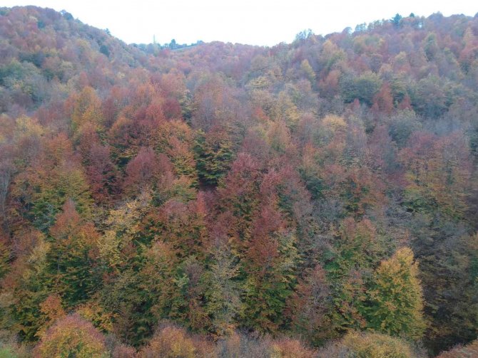 Sinop’ta Sonbahar Güzelliği